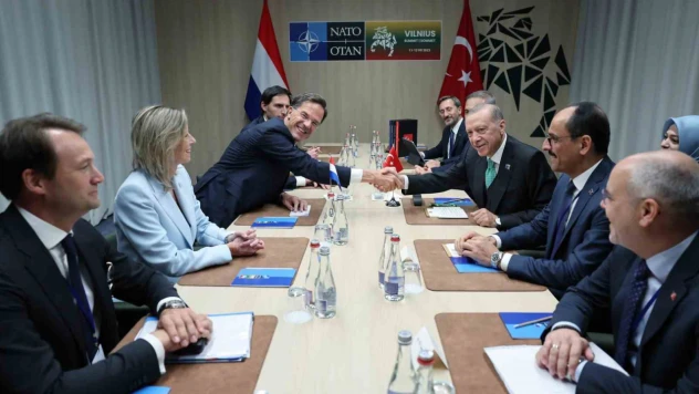 Cumhurbaşkanı Erdoğan, Hollanda Başbakanı Rutte ile görüştü