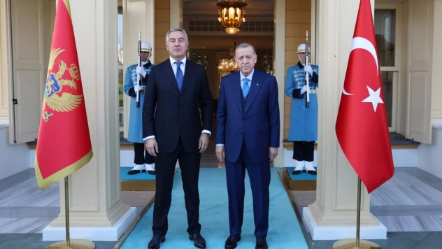 Cumhurbaşkanı Erdoğan, Karadağ Cumhurbaşkanı Cukanoviç görüştü