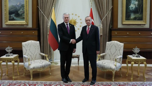 Cumhurbaşkanı Erdoğan, Litvanya Cumhurbaşkanı Nauseda ile görüştü