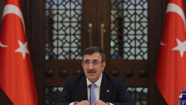 Cumhurbaşkanı Yardımcısı Yılmaz'dan AKPM'nin Türkiye kararına tepki