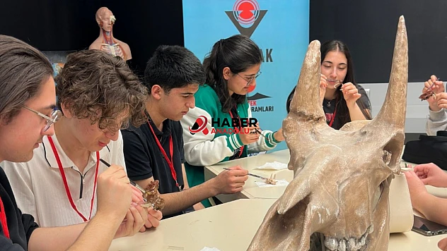 'Dijital Dönüşümün Mimarları' Projesi Başarıyla Tamamlandı