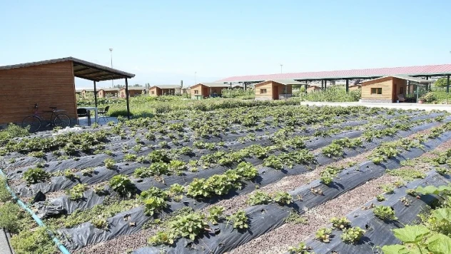 Doğal Ürünler Bahçesi Pazarı açılıyor