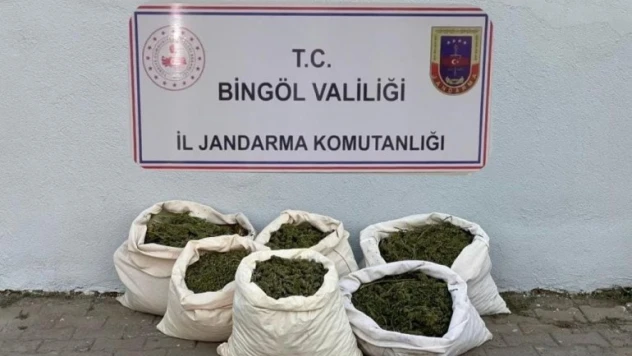 EREN ABLUKA-9 operasyonlarında 3 milyon 257 bin kök kenevir bitkisi ele geçirildi