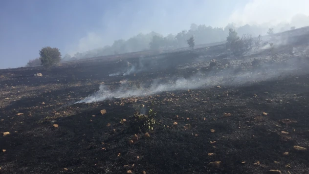 Ergani'deki örtü yangını 10 saat sonra kontrol altına alındı