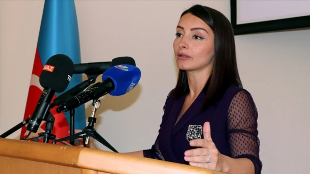 Ermenistan, normalleşme sürecinin ilerlediğini görerek bölgede gerginlik oluşturmaya çalışıyor