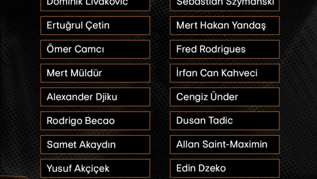 Fenerbahçe'nin, Twente maçı için kamp kadrosu belli oldu