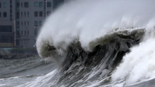 Güney Kore'de Hinnamnor Tayfunu'nun bilançosu netleşmeye başladı