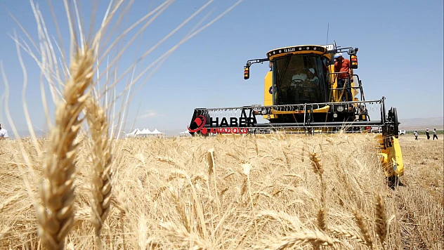 Güneydoğu Anadolu'dan 871 milyon dolarlık ihracat