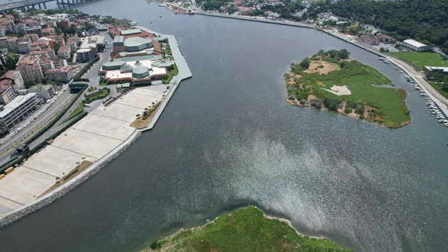 Haliç kahverengiye döndü