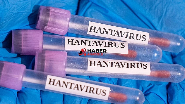 Hantavirüs vakalarının görüldüğü gemideki yolcuları için 4 tahliye uçuşu yapıldı