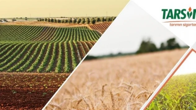 Hasar fazlası desteğine ilişkin Cumhurbaşkanı kararı yayımlandı