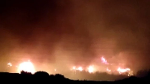 Hatay'da gece yarısı orman yangını başladı