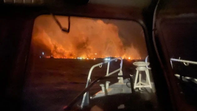 Hawaii'deki orman yangınlarında ölü sayısı 67'ye yükseldi