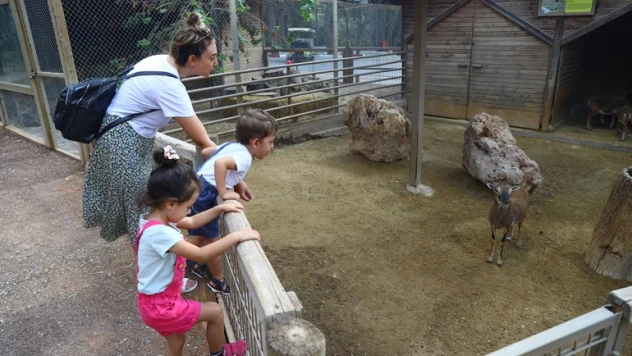 Hayvanat Bahçesini 500 bin vatandaş ziyaret etti