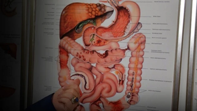 Hemoroit hastalığında lazer tedavisi