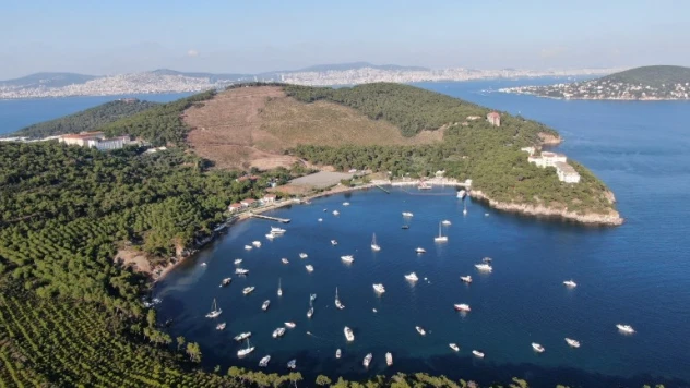 Heybeliada'da yanan ormanlık alan 1. yıl dönümünde eski yeşil görünümüne kavuşuyor