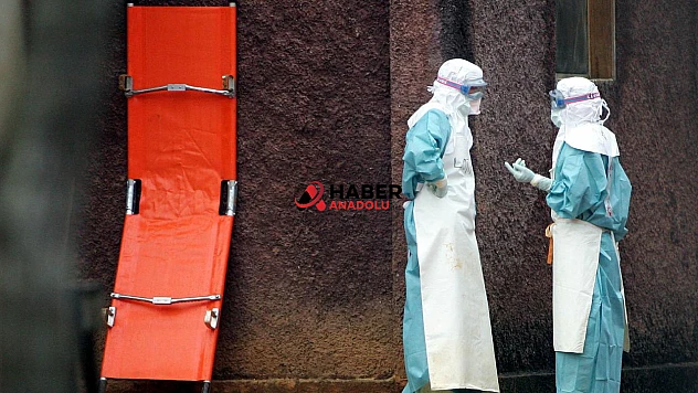 Hindistan'da Chandipura virüsü alarmı
