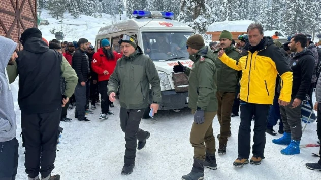 Hindistan'da çığ felaketi: 2 ölü