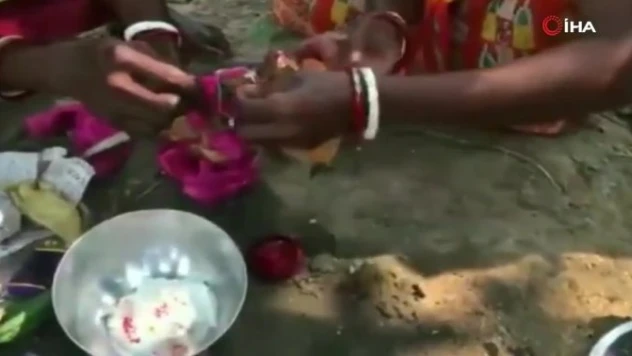 Hindistan'da yağmur yağması için 2 kurbağaya evlilik töreni yapıldı