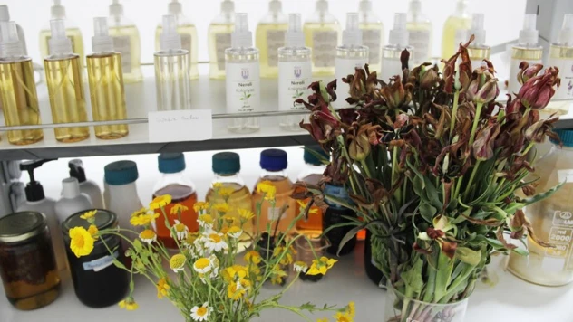 İlk tıbbi aromatik bitki  kütüphanesi kuruluyor.