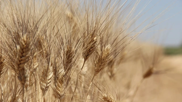 İstanbul'da Ortak Koordinasyon Merkezi faaliyetlerine başladı