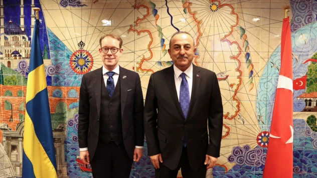 İsveçli Bakan Billström, Bakan Çavuşoğlu ile görüşecek