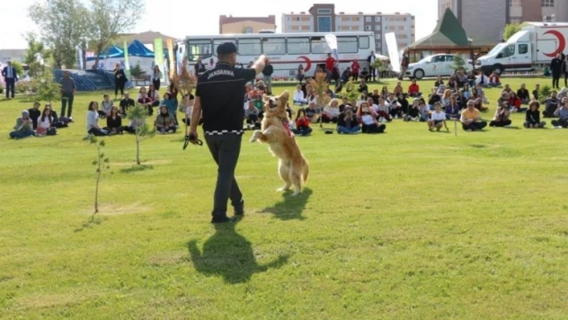 Jandarmanın kahraman köpekleri büyük beğeni topladı