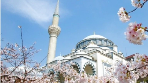 Tokyo Camisi'ne büyük ilgi