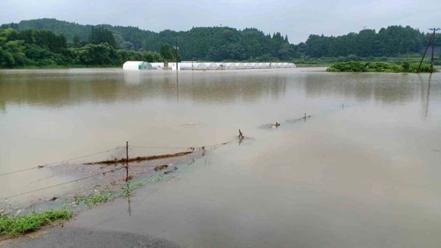 Japonya'da toprak kayması: 1 ölü