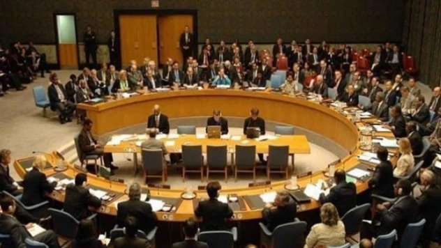 Japonya Dışişleri Bakan BMGK'da reforma ihtiyaç var