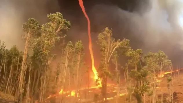 Kanada'daki orman yangınlarında ateş hortumu çıktı