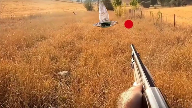 Kayseri'de 13 genel avlak ava kapatıldı