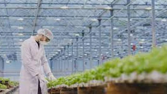 Kayseri Sera OSB'de sevindirici gelişme