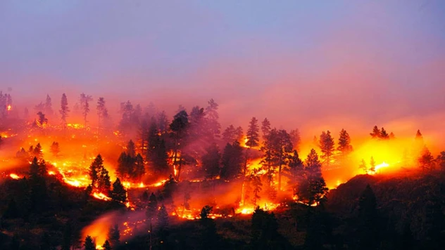 Kazakistan'da orman yangını: 3 kişi öldü, 30 bin hektar alan kül oldu