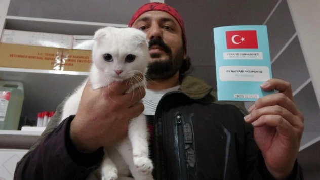Kedi ve köpek sahipleri dikkat, yasal süre 31 Aralık'ta doluyor