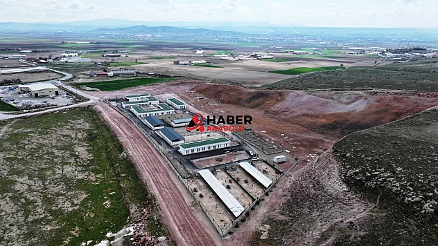 Kocasinan Belediyesi'nden Sokak Hayvanlarına Modern Yaşam Alanı