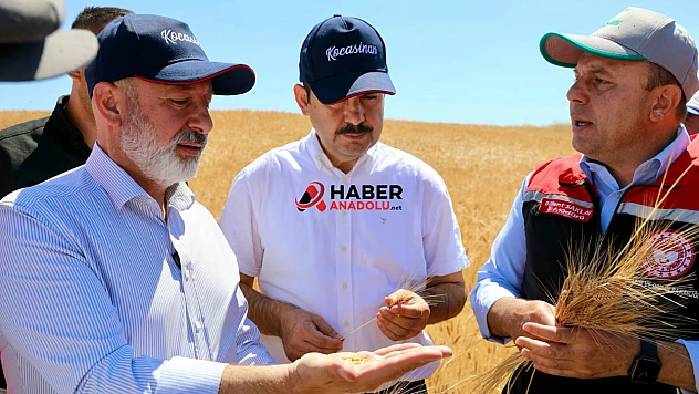 Kocasinan'da Tarım Buluşması Hasatla Taçlandı