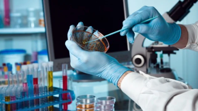 Kök hücre tedavisi 6 eklem rahatsızlığına iyi geliyor