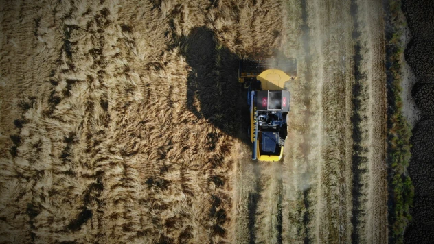 Konya Ovasında yer altı su kaynaklarında kuraklık alarmı