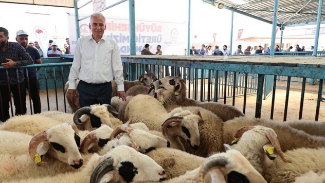 Küçükbaş yetiştiricisine yıkıma makinesi desteği