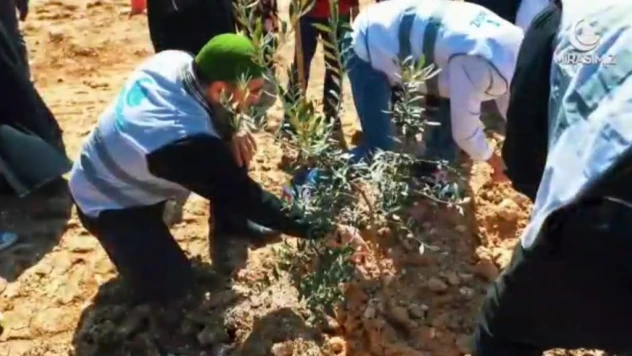 Kudüs'te Kayseri Zeytin Fidanlığı''