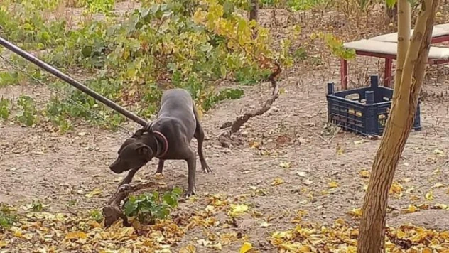 Kurallara uymayanlara 513 bin TL ceza uygulandı