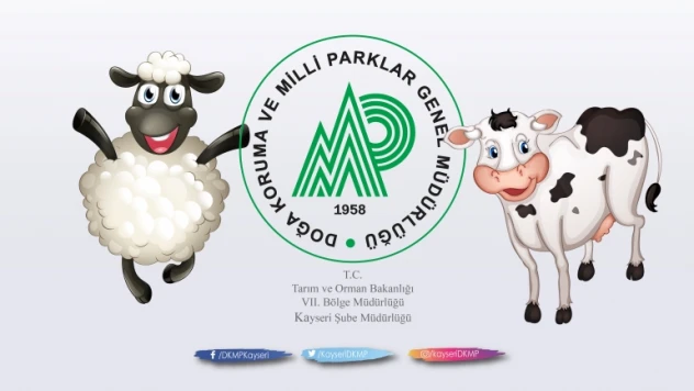 Kurbanlık hayvana eziyete ceza