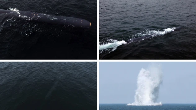 Kuzey Kore'den nükleer saldırı denemesi