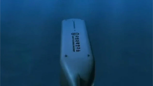 Kuzey Kore insansız su altı nükleer saldırı aracını test etti