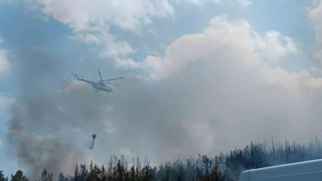 Lapseki'de orman yangını