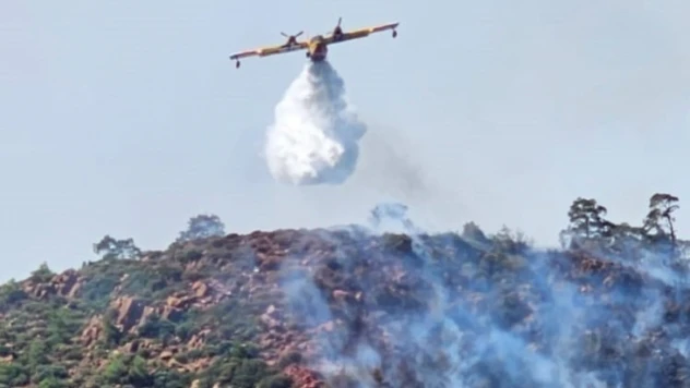 Marmaris'te orman yangınıyla ilgili 1 kişi gözaltına alındı
