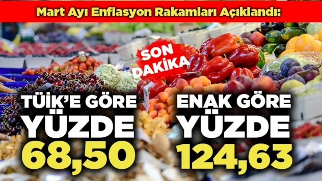 Mart ayında yıllık enflasyon yüzde 68,50 oldu