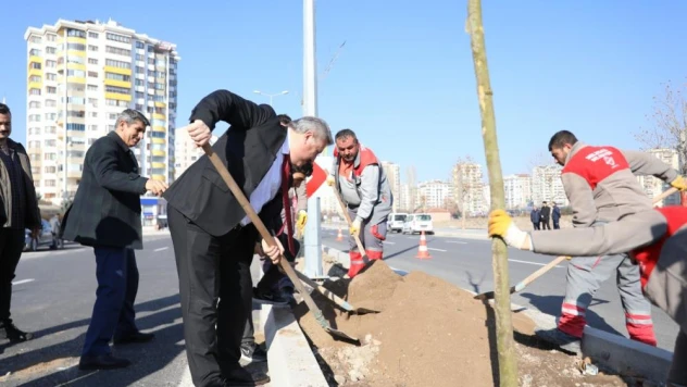 Melikgazi ilçeyi devasa ağaçlarla yeşillendirmeye devam ediyor