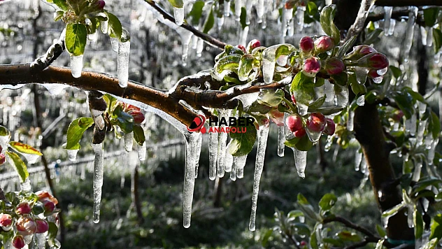 Meteoroloji'den 'zirai don' uyarısı